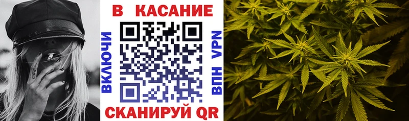 Купить закладку Alpha-PVP  Кокаин  Кетамин  Гашиш  Мефедрон  Лесной