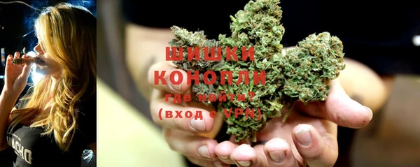 ECSTASY Кодинск